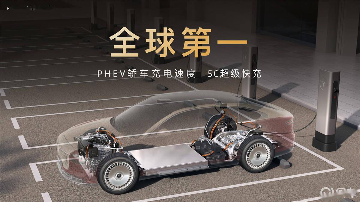 起售开启中国豪华轿车“破晓”新征程不朽情缘网站岚图追光L以2799万(图2)